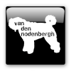 van den Nodenbergh